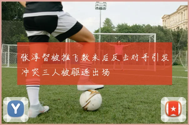 张淳智被推飞数米后反击对手引发冲突三人被驱逐出场